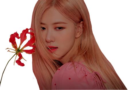 Blackpink Png Transparent Images Png All