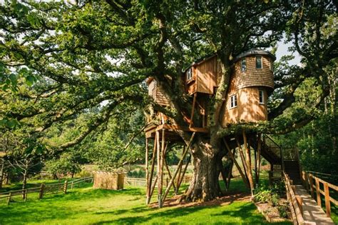 Best Treehouse Hotels And Rentals In The World