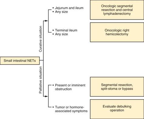 Neuroendocrine Tumors Of The Small And Large Intestine Clinical Tree