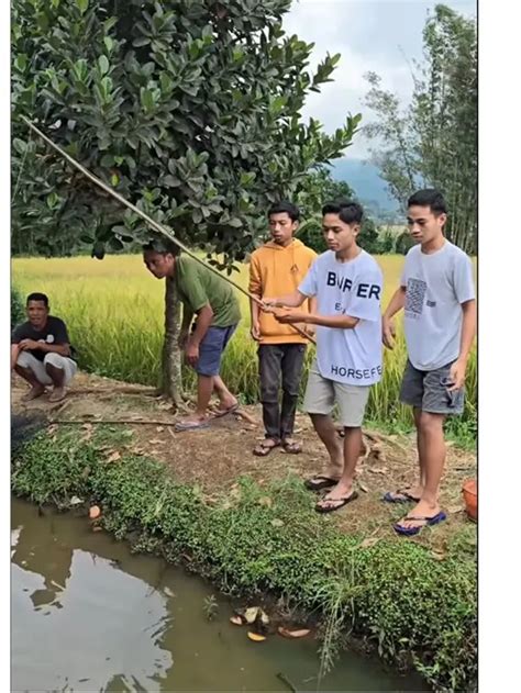 Potret Kegiatan Betrand Peto Di Kampung Halaman Ntt Mancing Hingga