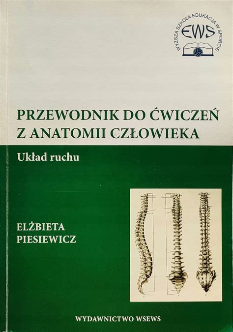 Anatomia Układu Ruchu Człowieka Niska cena na Allegro pl