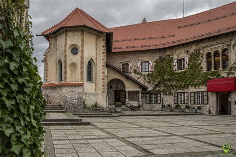 Jezioro Bled Wyj Tkowych Atrakcji Co Warto Zobaczy