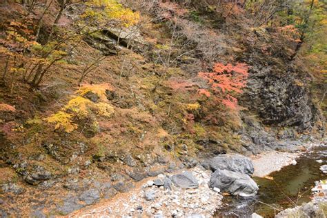 中津峡の紅葉～埼玉県秩父市③ 気まぐれフォトダイアリー