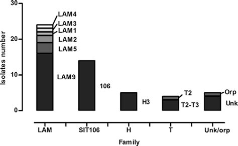 Scielo Brasil Molecular Profiling Of Drug Resistant Isolates Of