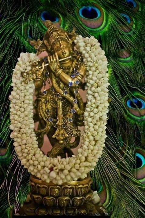 Pin By Ram Prasad On Krishna Lord Krishna Images Lord Krishna Hd