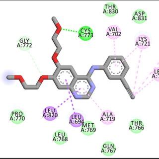 Two Conformations Of Co Crystal Ligand Erlotinib AQ4 In The EGFR