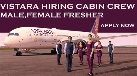 Vistara Hiring Cabin Crew Male And Female Both Freshers Can Also