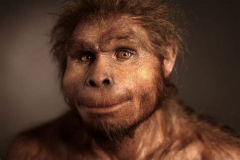 Lifelike Hominid Reconstructions That Are A Look At The Past Pics