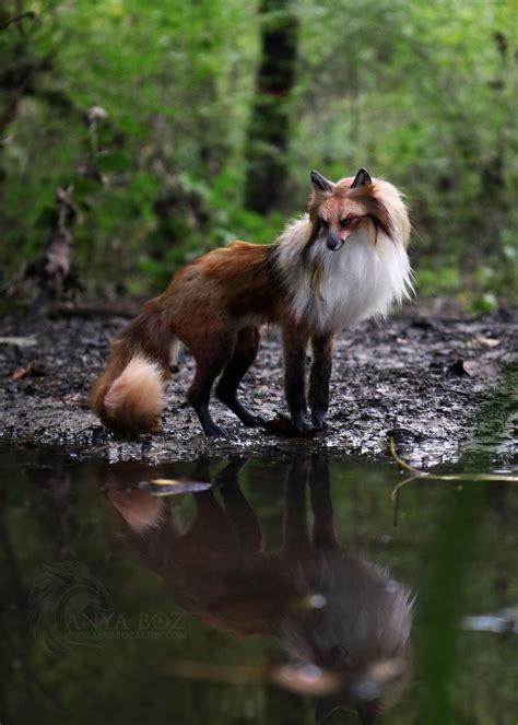 Red Fox Room Guardian By Anyaboz On Deviantart