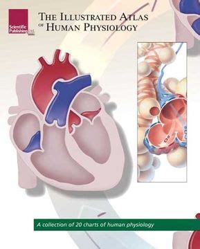 Libro The Illustrated Atlas Of Human Physiology A Collection Of 20