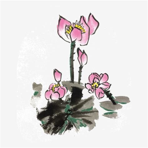 Ink Lotus Hd Transparent Summer Lotus Ink Hand Drawn Illustration