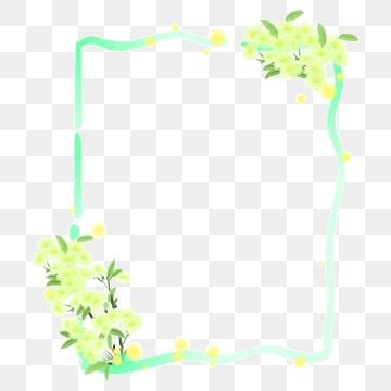 Yellow Flower PNG Transparent Yellow Flower Flower Floral Plant PNG