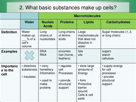 Ch 21 Review Macromolecules And Cell Theory