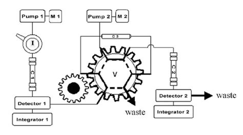 A Schematic Diagram For The Automatic Column Switching Hplc System Used