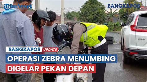 Operasi Zebra Digelar Pekan Depan Berbagai Macam Pelanggaran Jadi