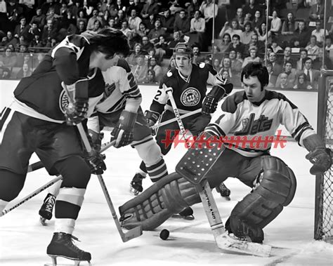 Wha Winnipeg Jets Goalie Joe Daley Game Action Vs Whalers 8 X 10 Photo