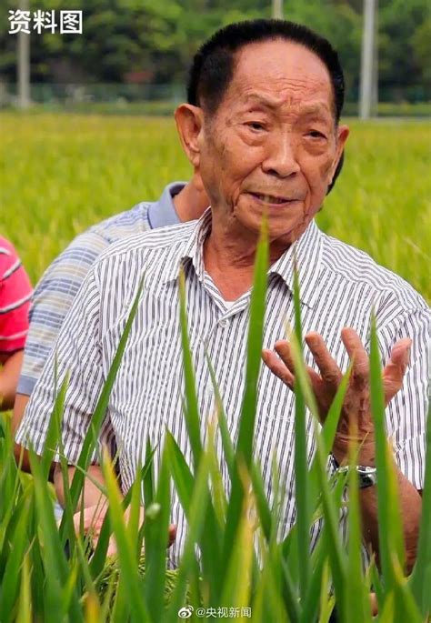 袁隆平逝世，14亿中国人同悲泣：习惯仰望英雄，忘了英雄也会倒下袁隆平水稻中国人新浪新闻