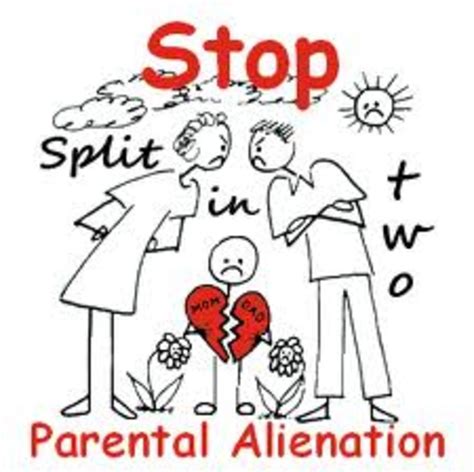 Aggressive Hostile Parenting Vs Parental Alienation Syndrome