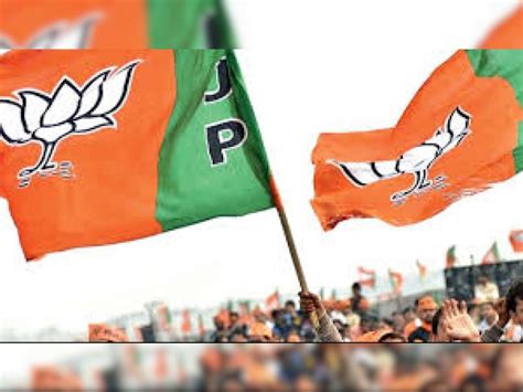 Up Mlc Election Results 2022 Bjp Clean Sweep Polls Wins 33 Of 36 Seats