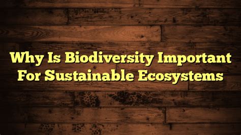 Why Is Biodiversity Important For Sustainable Ecosystems Subeimagenes