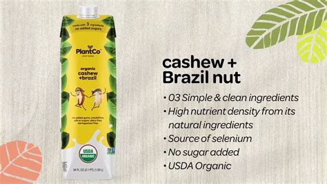 Organic Cashew Nut Brazil Nut Milk Plant Based Milk By Plantco