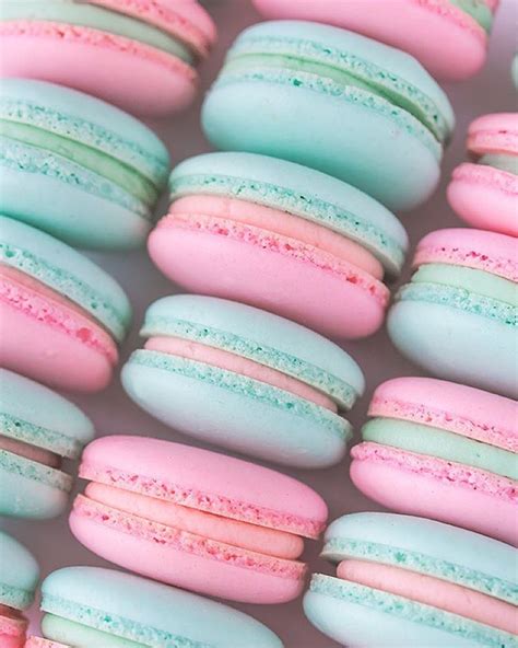 Cute Macaron Background Parketis