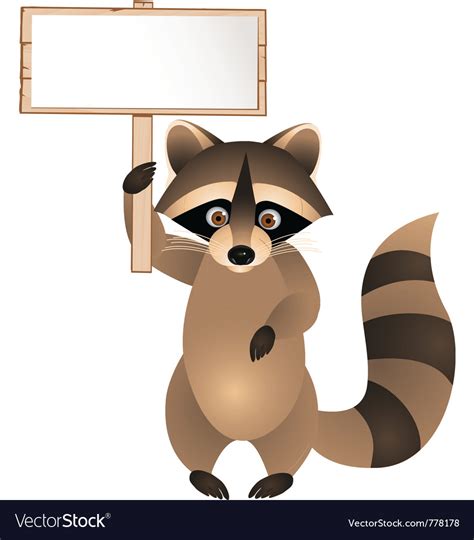 Raccoon Cartoon With Blank Sign Royalty Free Vector Image