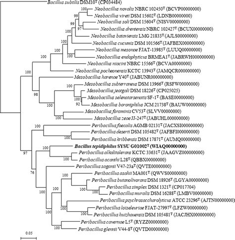 Phylogenomic Tree Based On Bacterial Single Copy Genes Showing The