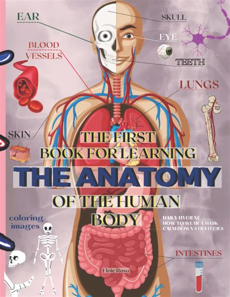 THE FIRST BOOK FOR LEARNING THE ANATOMY OF THE HUMAN BODY: An Educational, Coloring Book for ...