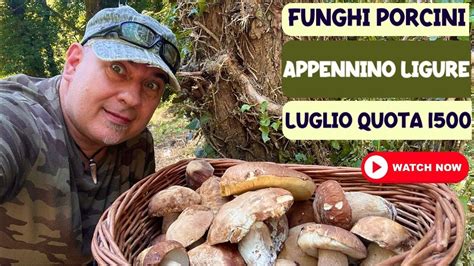 Funghi Porcini Appennino Ligure Luglio Quota Youtube