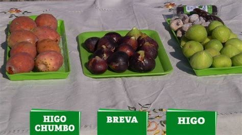 Diferencia entre higos y brevas Cuál es la distinción