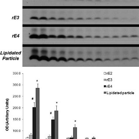 Role Of Apoe In Aβ Dependent And Aβ Independent Pathways On Ad