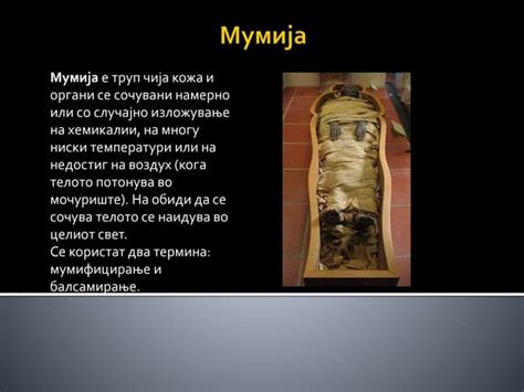 мумија | PPT