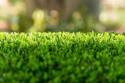 Benefits Of Turf Grass Senske Services