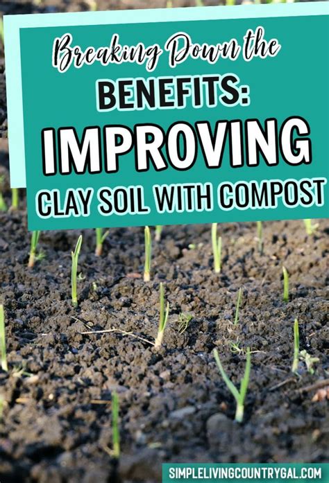 How To Turn Your Clay Soil Into A Thriving Garden In Clay Soil