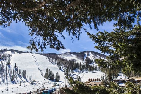 Ski New Mexico | New Mexico Ski Resorts for Families