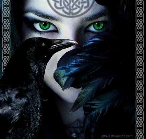 Celtic raven | Dark fantasy art, Eye art, Fairy pictures