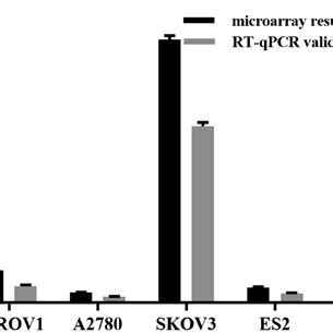 Validation Of RT QPCR And Microarray Results NPBWR1 2 Was