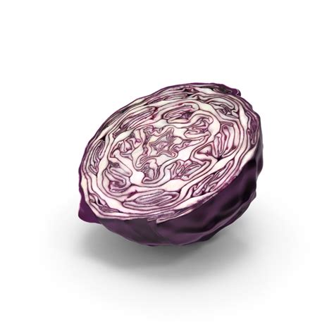 Red Cabbage PNG Images & PSDs for Download | PixelSquid - S110977107