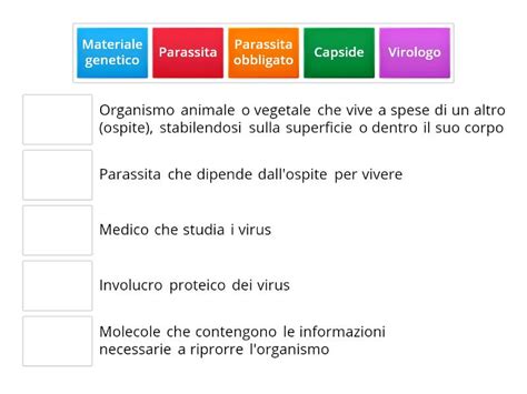 Alla Scoperta Delle Parole Match Up