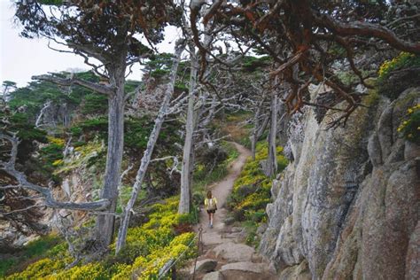 Point Lobos Hike One Of The Best Hikes On The California Coast