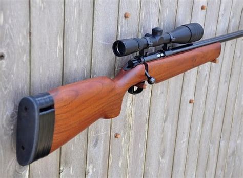Types Of 22 Rifles Types Of