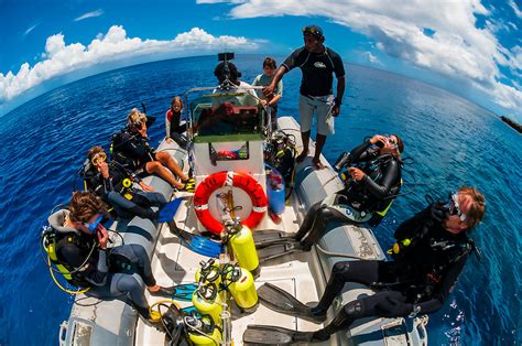 Scuba Diving Trip Jinek Bay Lifou Island Loyalty Islands New