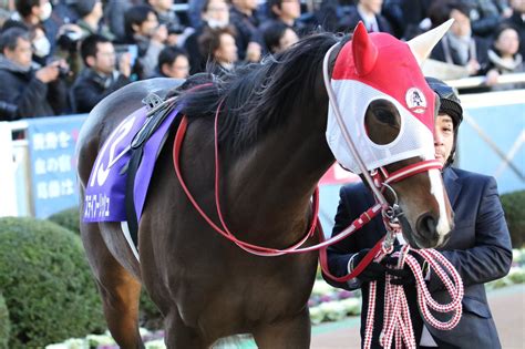 鳴尾記念2019の競馬予想分析！3つのデータから導く危険な人気馬