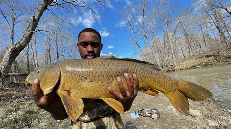 Master Angler Catch While Small Mouth Bass Fishing Beards Hills