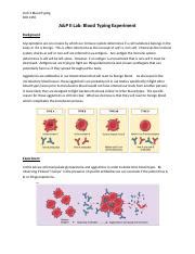 Understanding Blood Typing In A P II Lab Experiments Course Hero