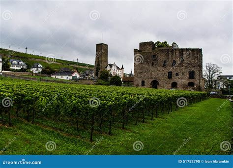 Vineyards of Rudesheim editorial image. Image of roof - 51752790