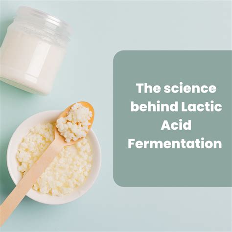 Lactic Acid Fermentation Food