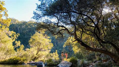 10 Hikes In Sunshine Coast Hinterland You Need To Know About Visit Sunshine Coast