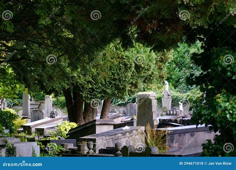 Autumn Fall On Historic Cemetery Graves Under Trees Editorial Stock